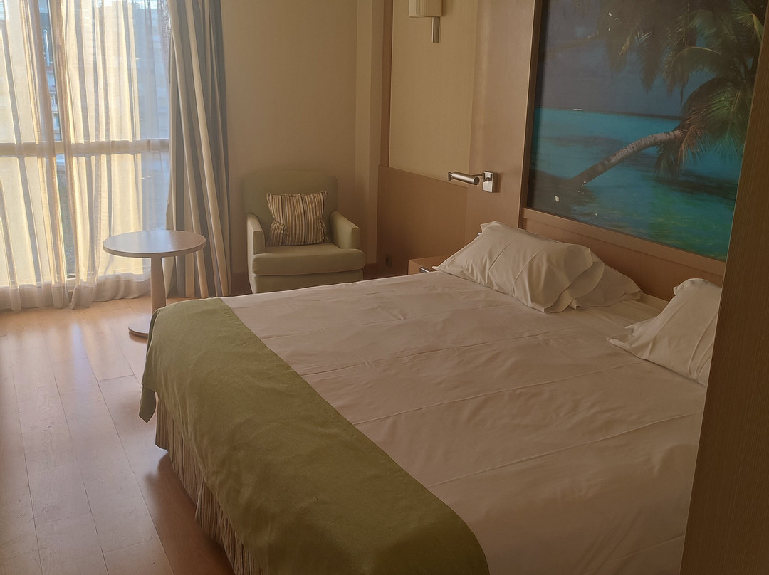 内尔瓦酒店主图