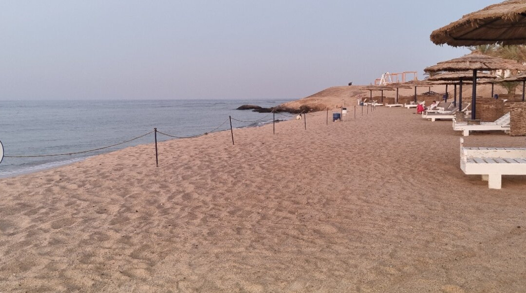 Coral Sun Beach Safaga主图