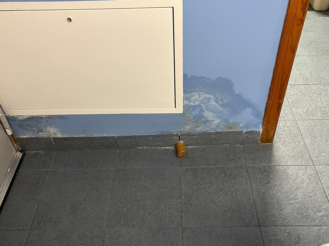 布拉塞斯酒店主图