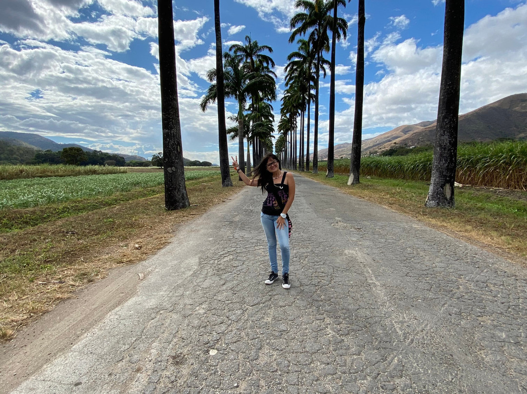 Hacienda Santa Teresa-Jose Rafael Revenga必去景点