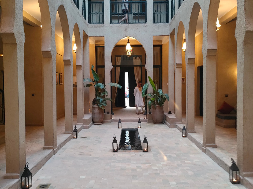 Morocco Camel Riding景点图片