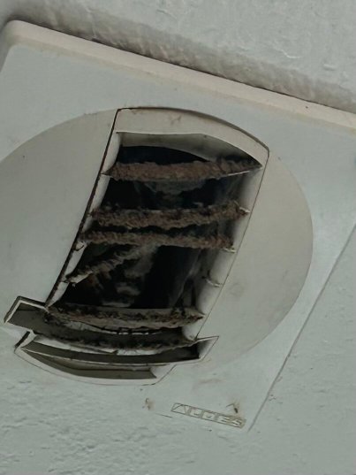 Holiday Inn Express & Suites Laurel By IHG-浴室