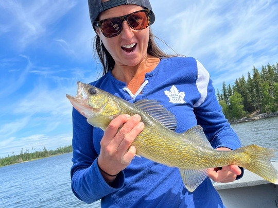 Thompson's Resort主图