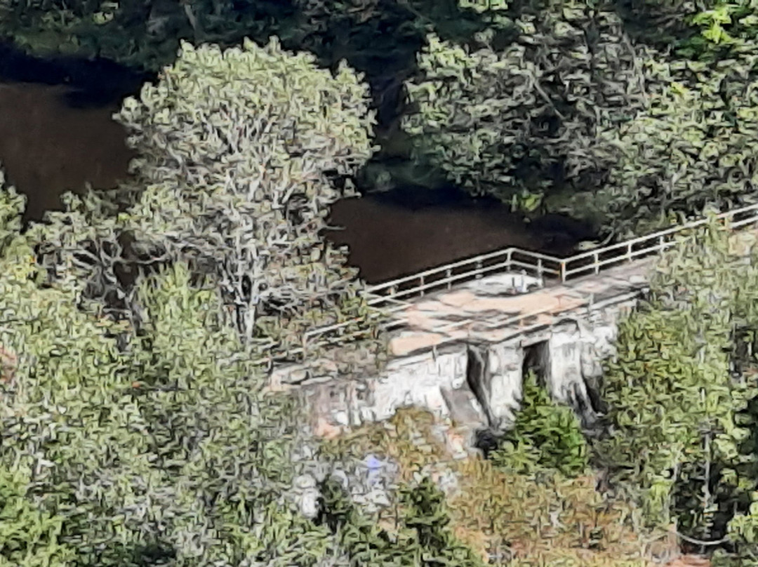 Sentier des cimes Laurentides景点图片