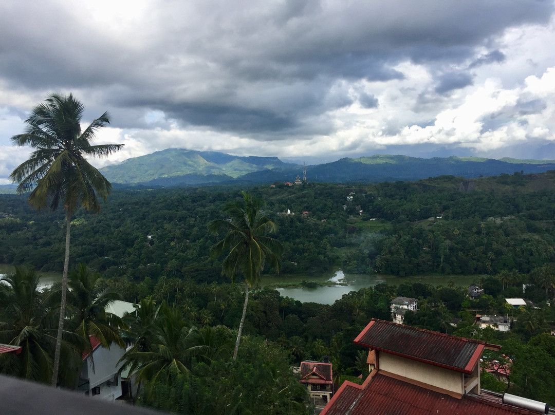 Serenity Hill Oasis主图