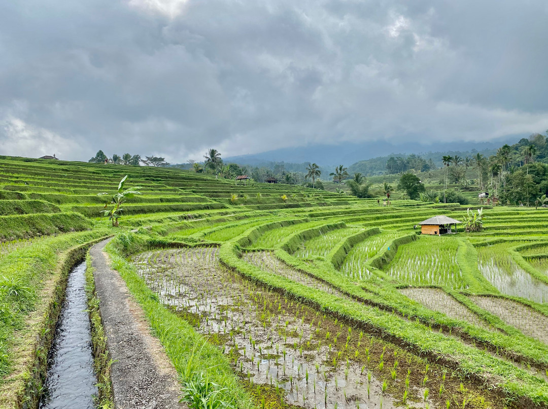 Bali Volcano Tours-登巴萨必去景点