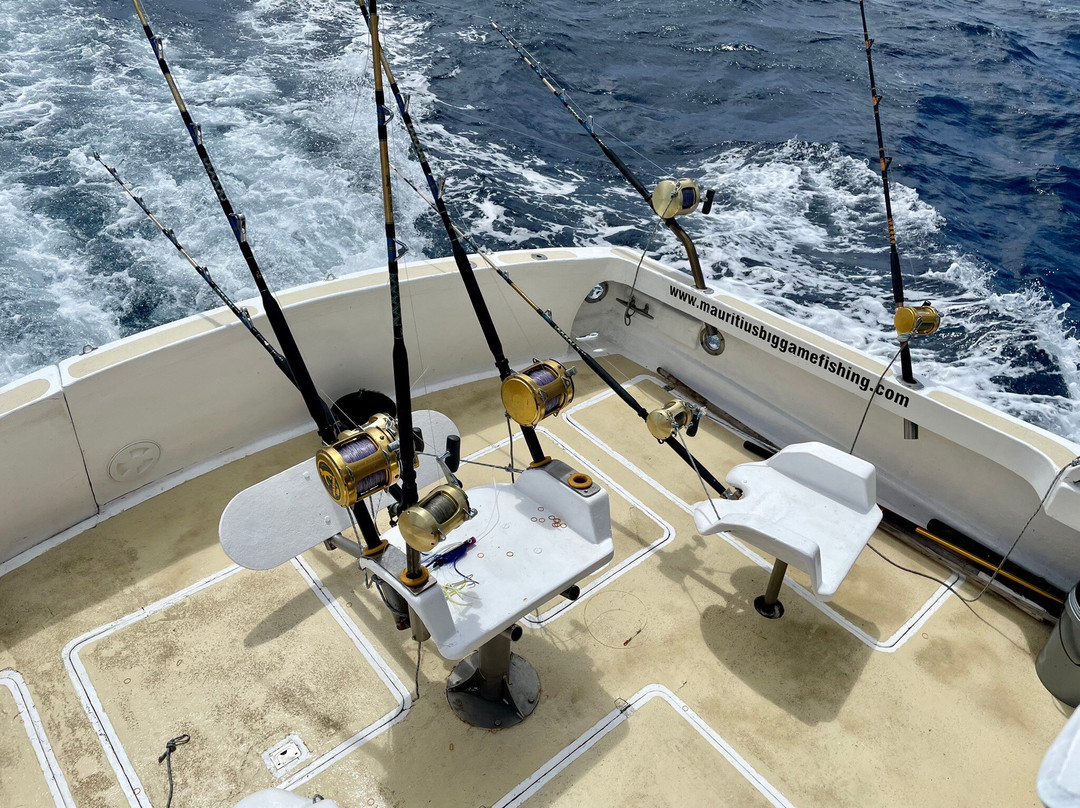 Horizon Fishing-大湾必去景点