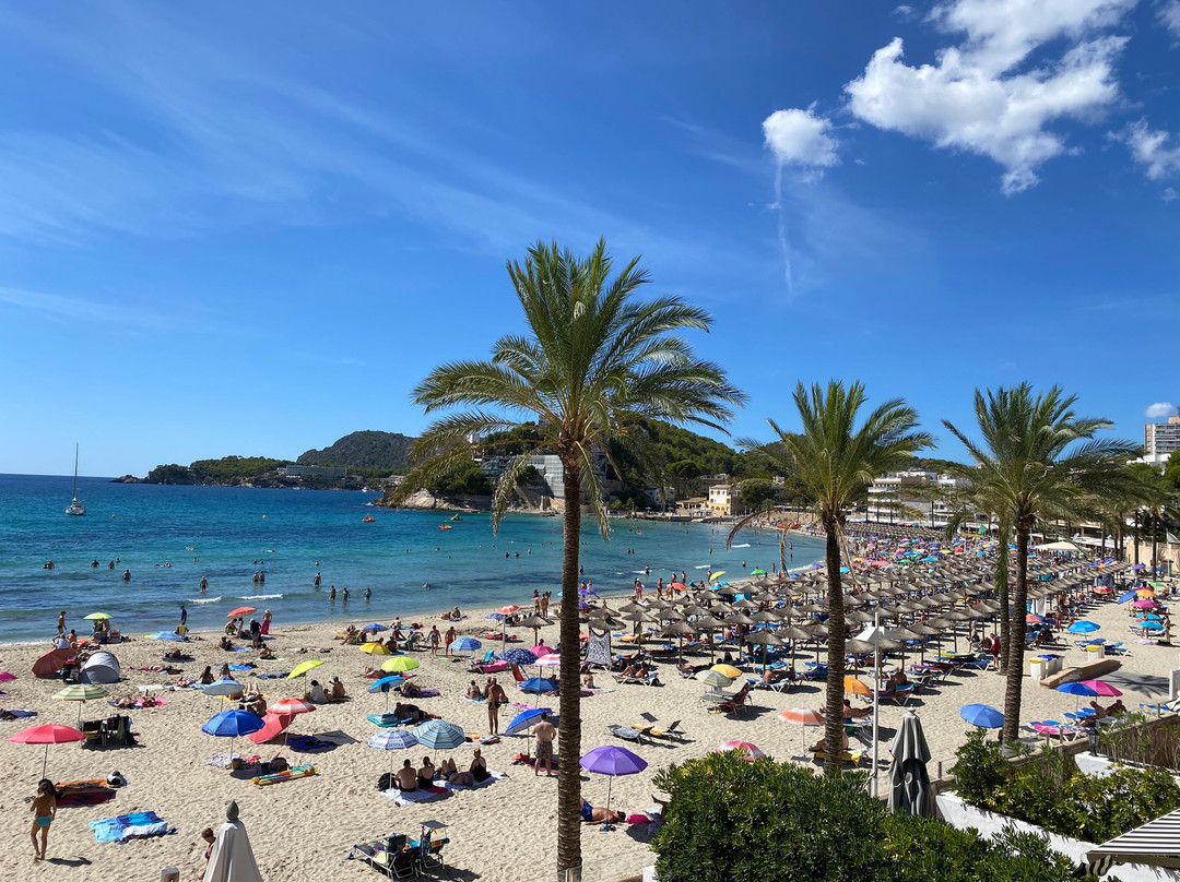 Universal Hotel Lido Park & Spa主图