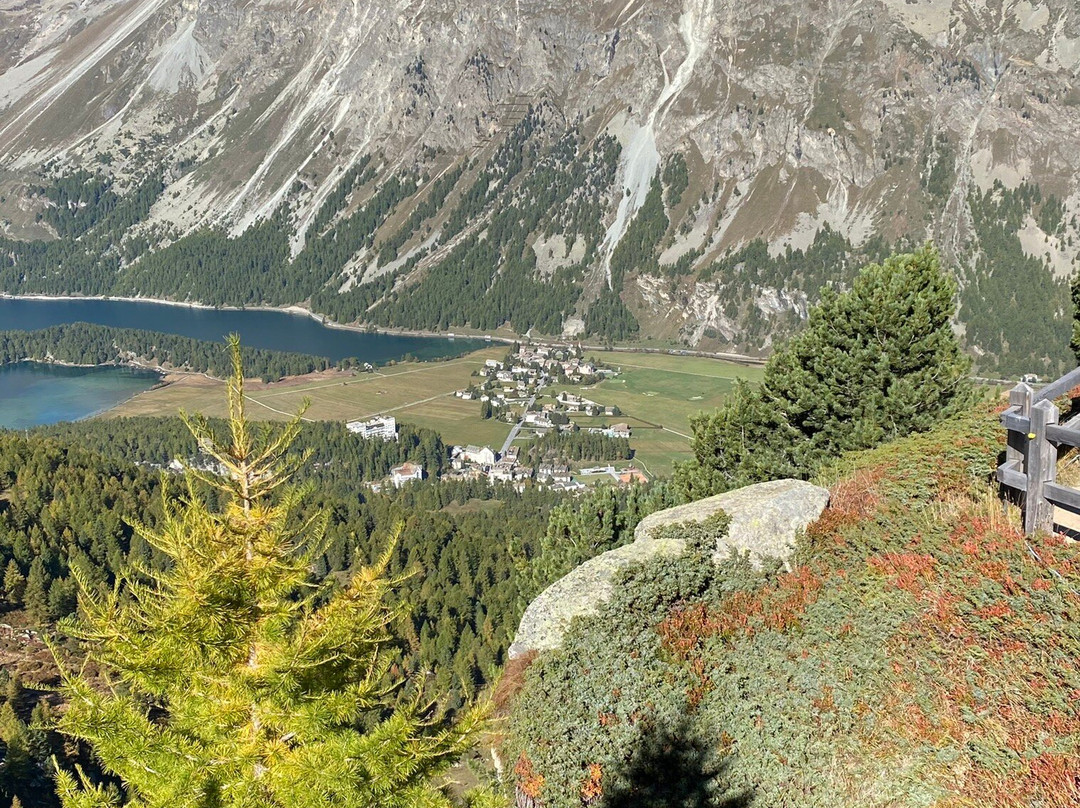 Wasserweg Ils Lejins Sils/Furtschellas景点图片
