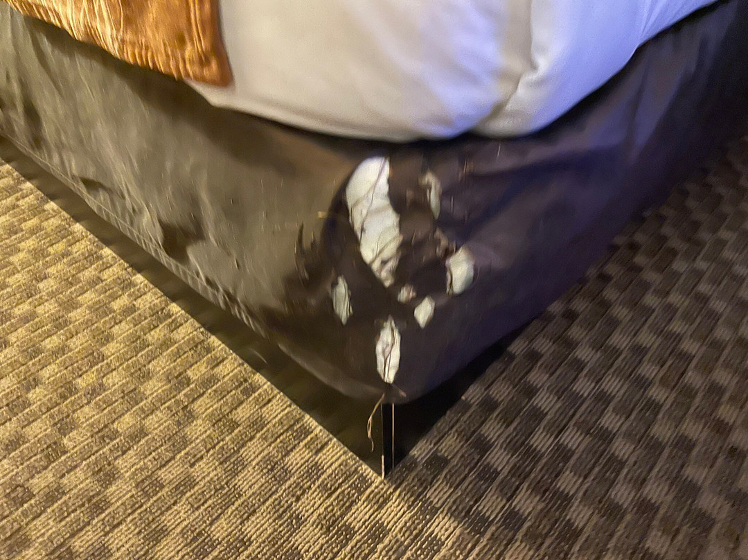 Comfort Inn and Suites Durango主图