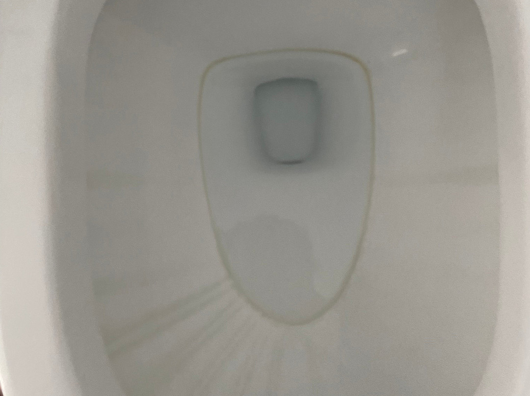 Hotel Palmas Cocoyoc主图