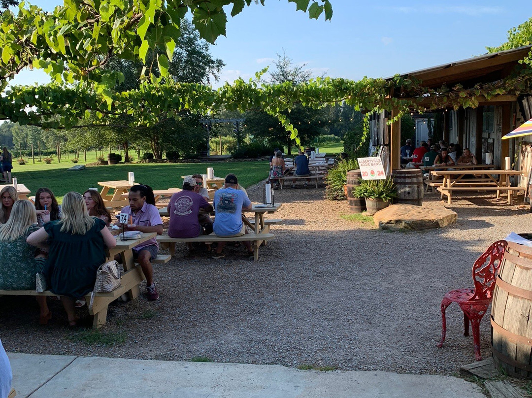 Jules J. Berta Vineyards & Pizza-阿尔贝维尔必去景点