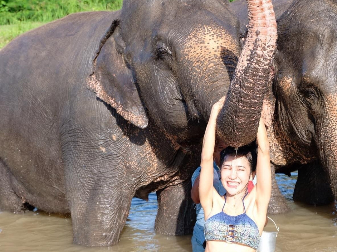 Thai Town of Elephant  Krabi景点图片
