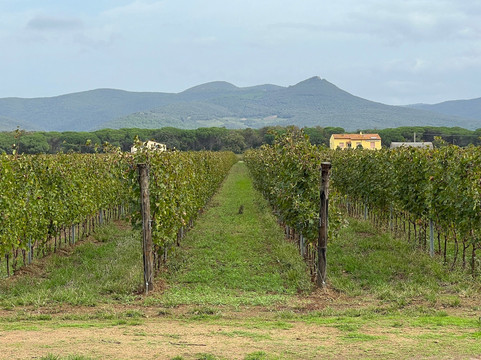 Terre del Marchesato-Bolgheri必去景点