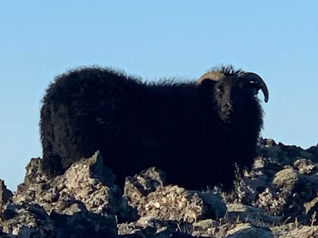 Hópsnes  Lighthouse-格林达维克必去景点