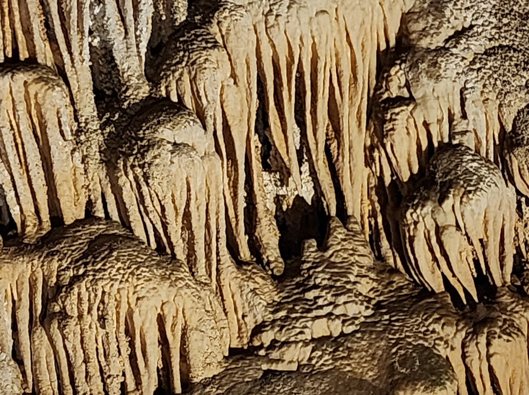 Green Lake-卡尔斯巴德洞穴国家公园必去景点