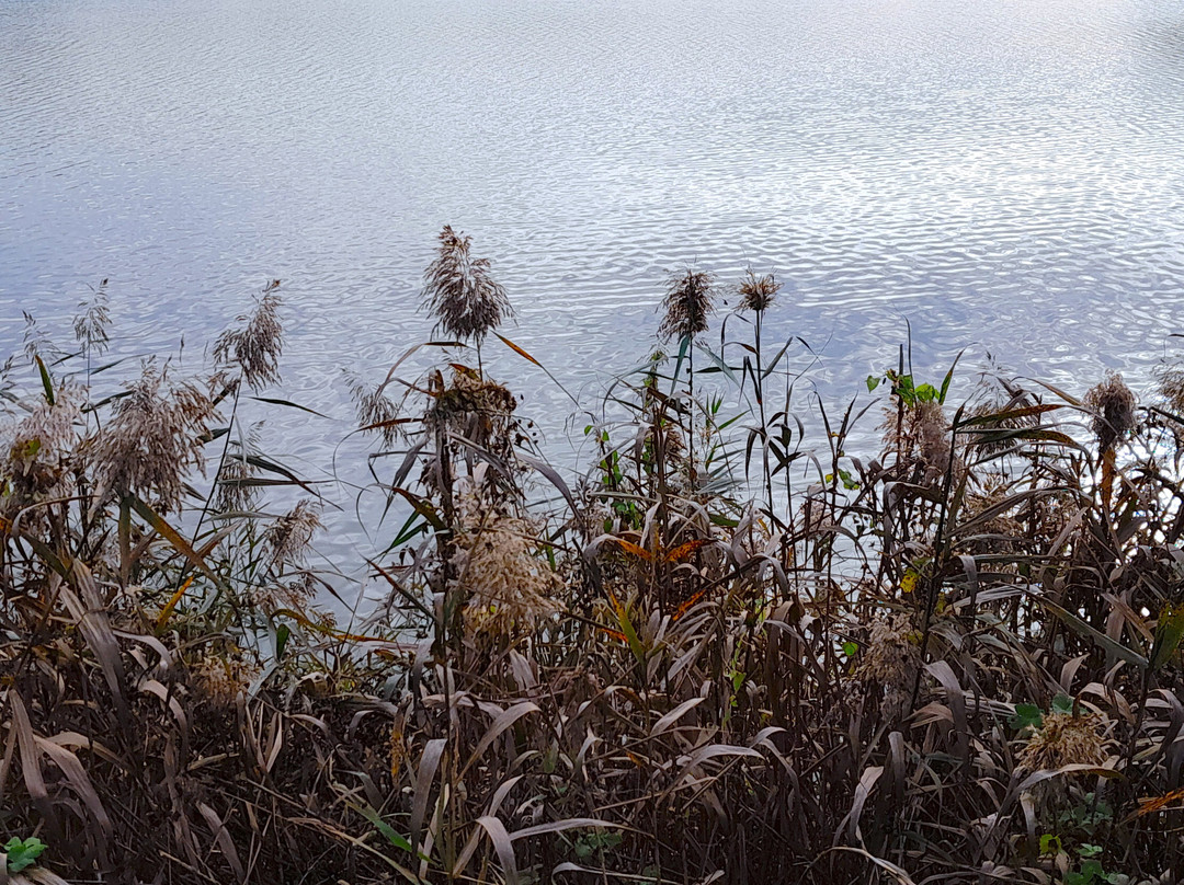 Etang Du Corra景点图片