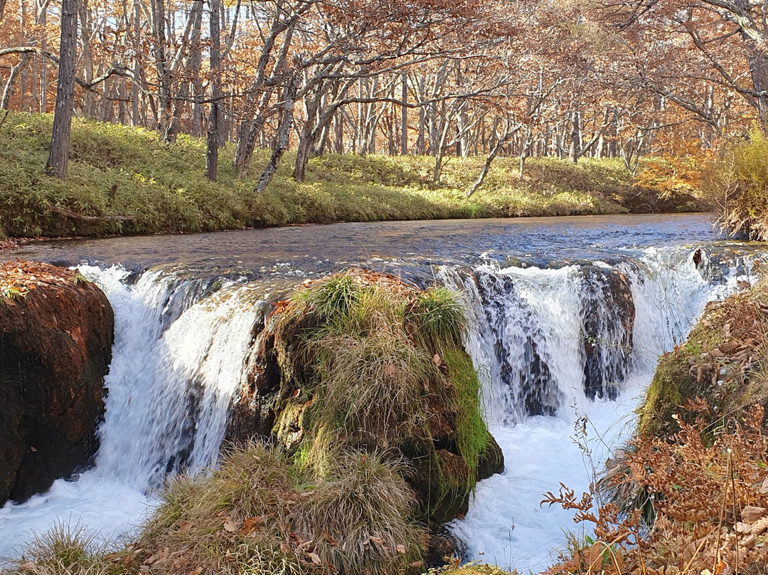 Senjogahara Field-日光市必去景点