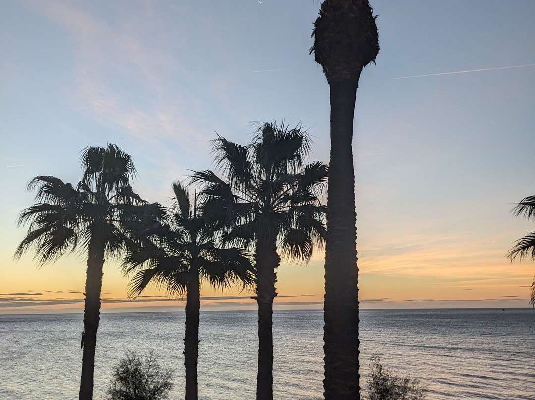 Elba Estepona Gran Hotel & Thalasso Spa主图