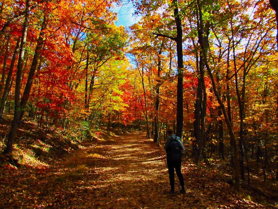 Excihiking Treks-罗阿诺克必去景点