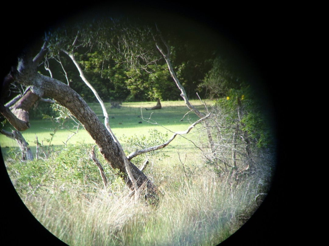 Experiential Traveller Sri Lanka-科伦坡必去景点