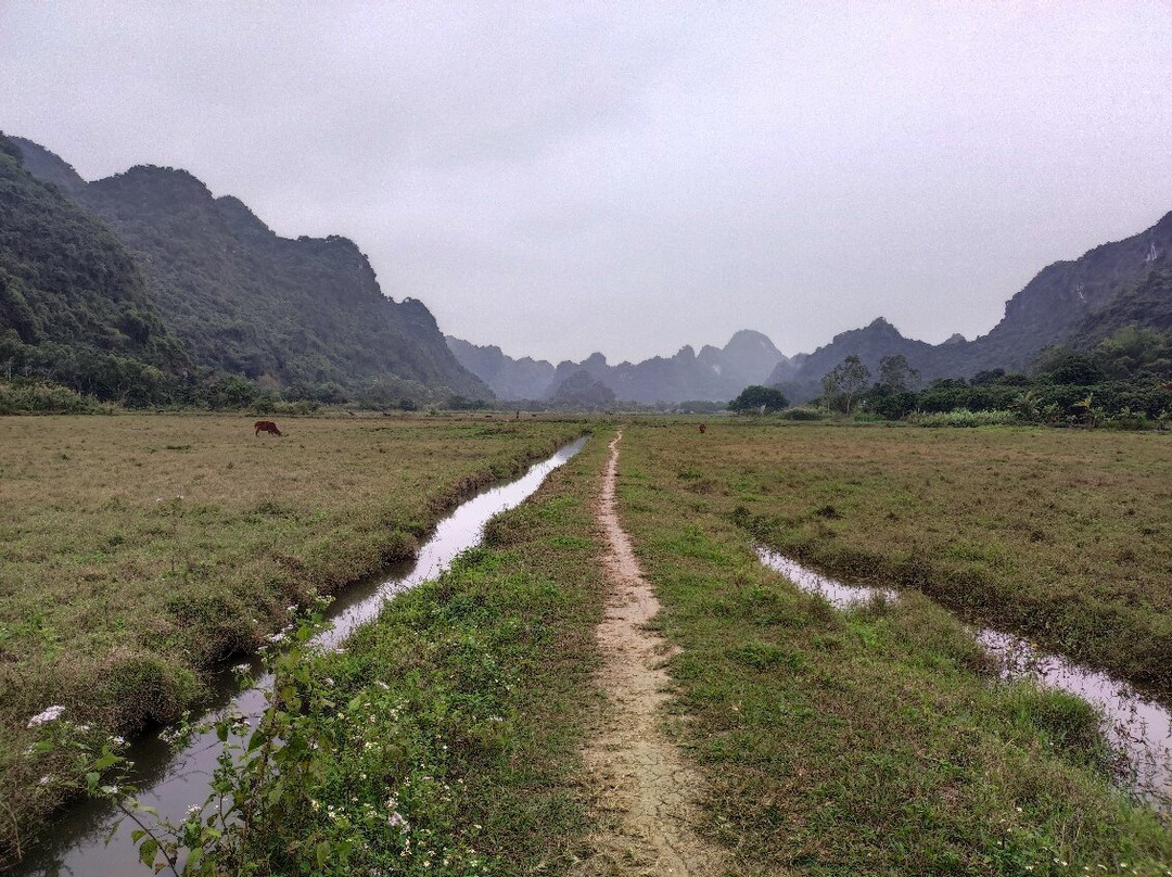 Venezia Cruises-河内必去景点