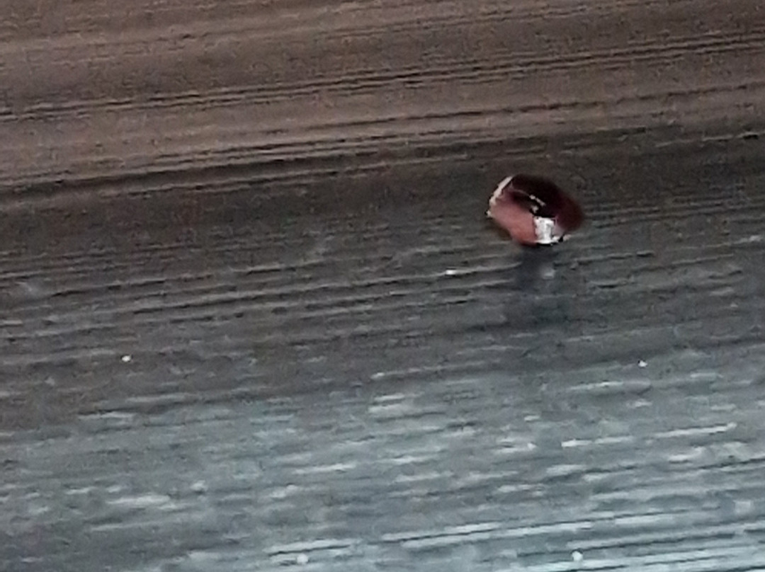 埃康姆查安度假酒店主图