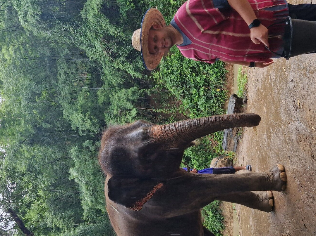 Chiangmai Smiley Tour-清迈必去景点