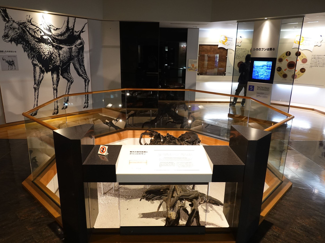 Chiteinomori Mueum-仙台市必去景点