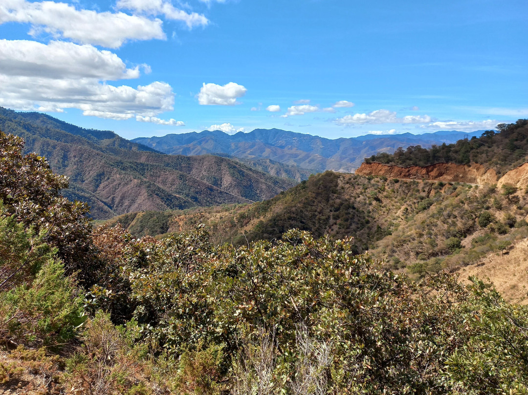Bicicletas Pedro Martinez-瓦哈卡必去景点