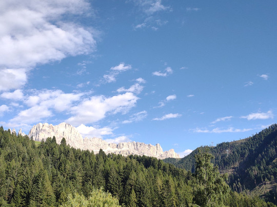 Dolomitenhotel Weisslahnbad主图