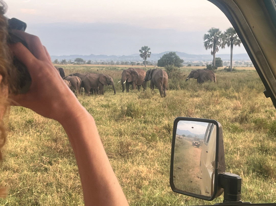 Mara Safari Lodge-kidepo