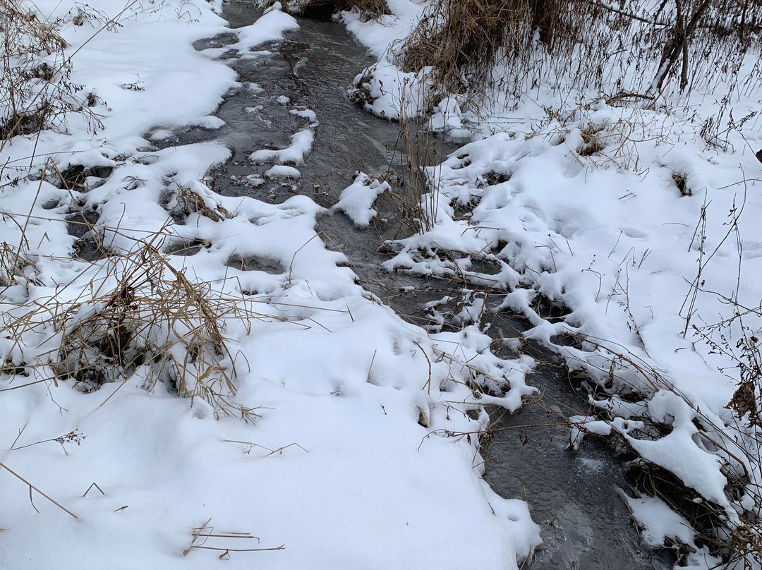 Five Rivers Environmental Education Center景点图片