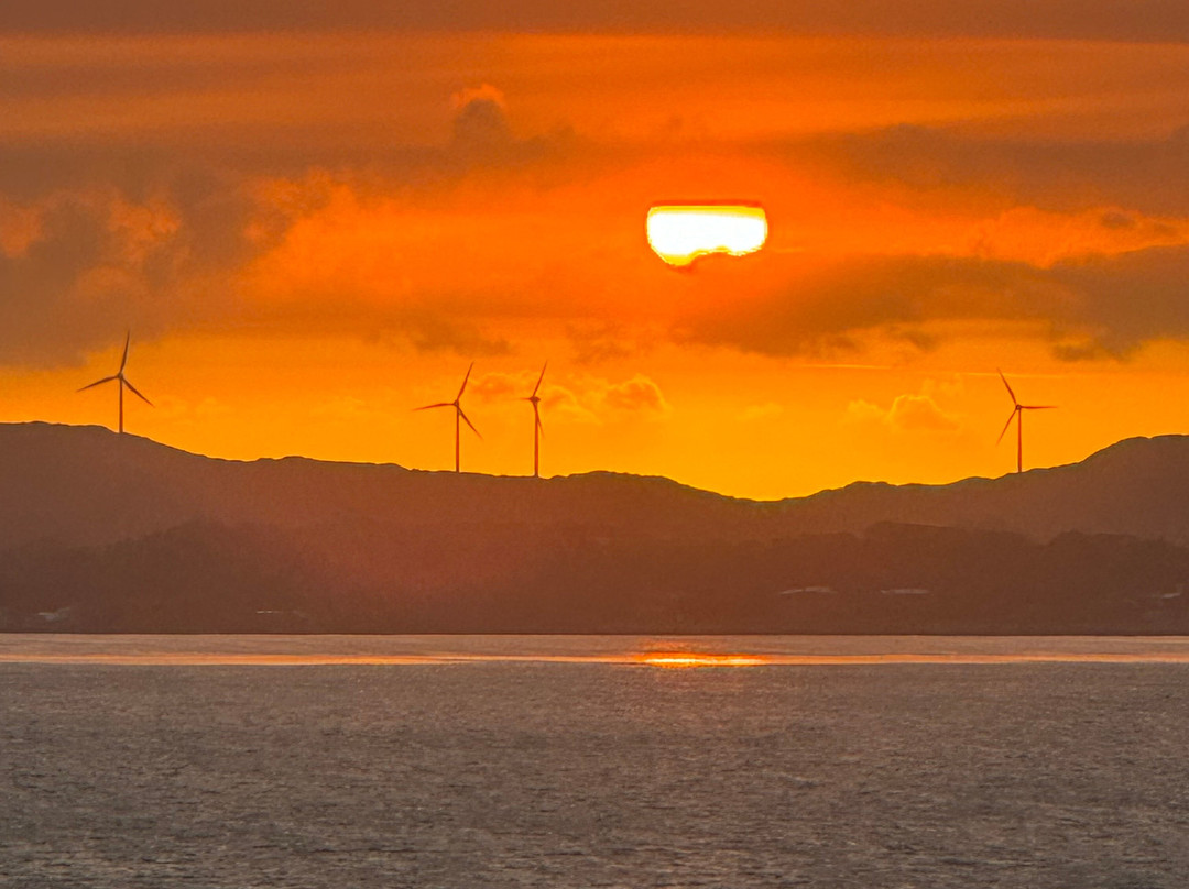 Hilton Garden Inn Albany主图