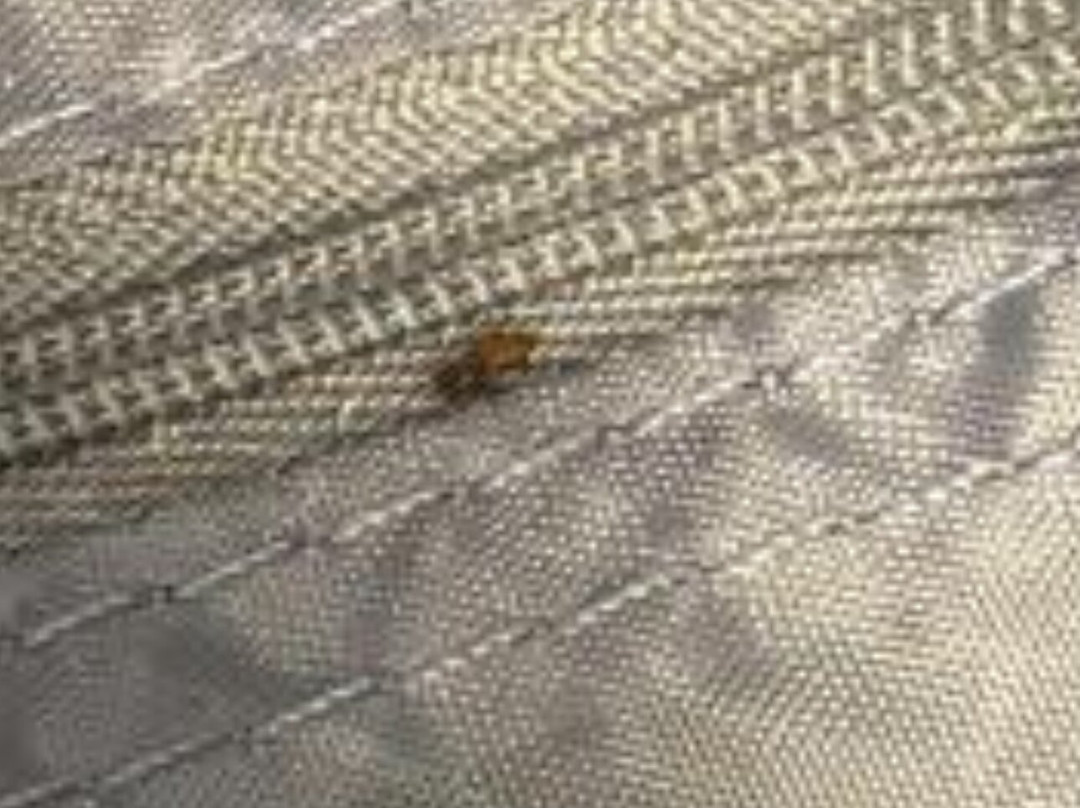 Mountain Brook Lodge主图