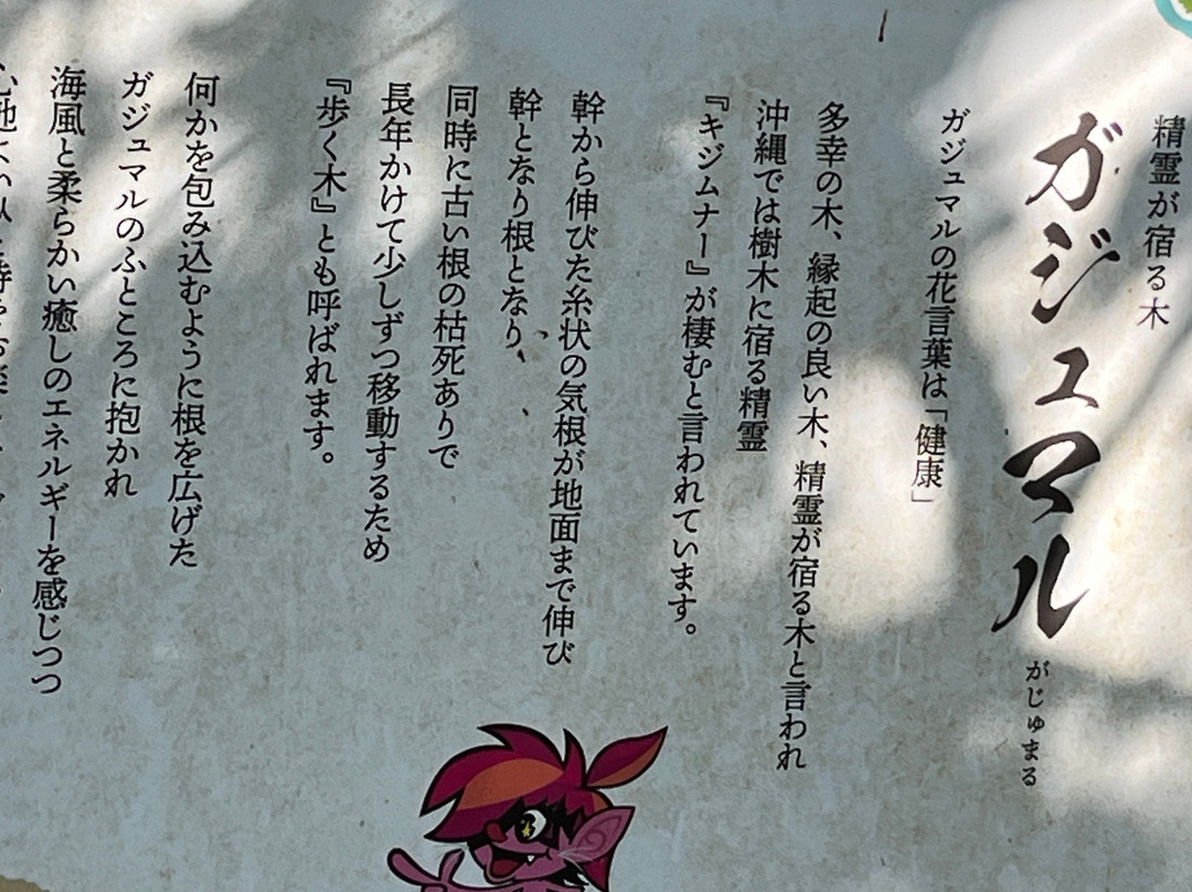 Kafu Banta景点图片