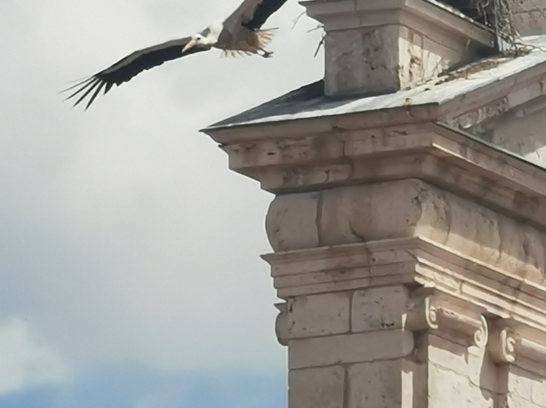 Plaza de Cervantes-阿尔卡拉-德-哈纳雷斯必去景点