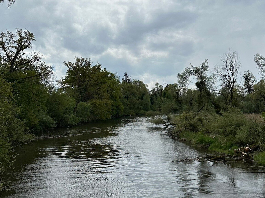Eriskircher Ried Naturschutzgebiet景点图片