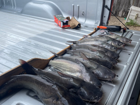 Indian Lodge Resort主图