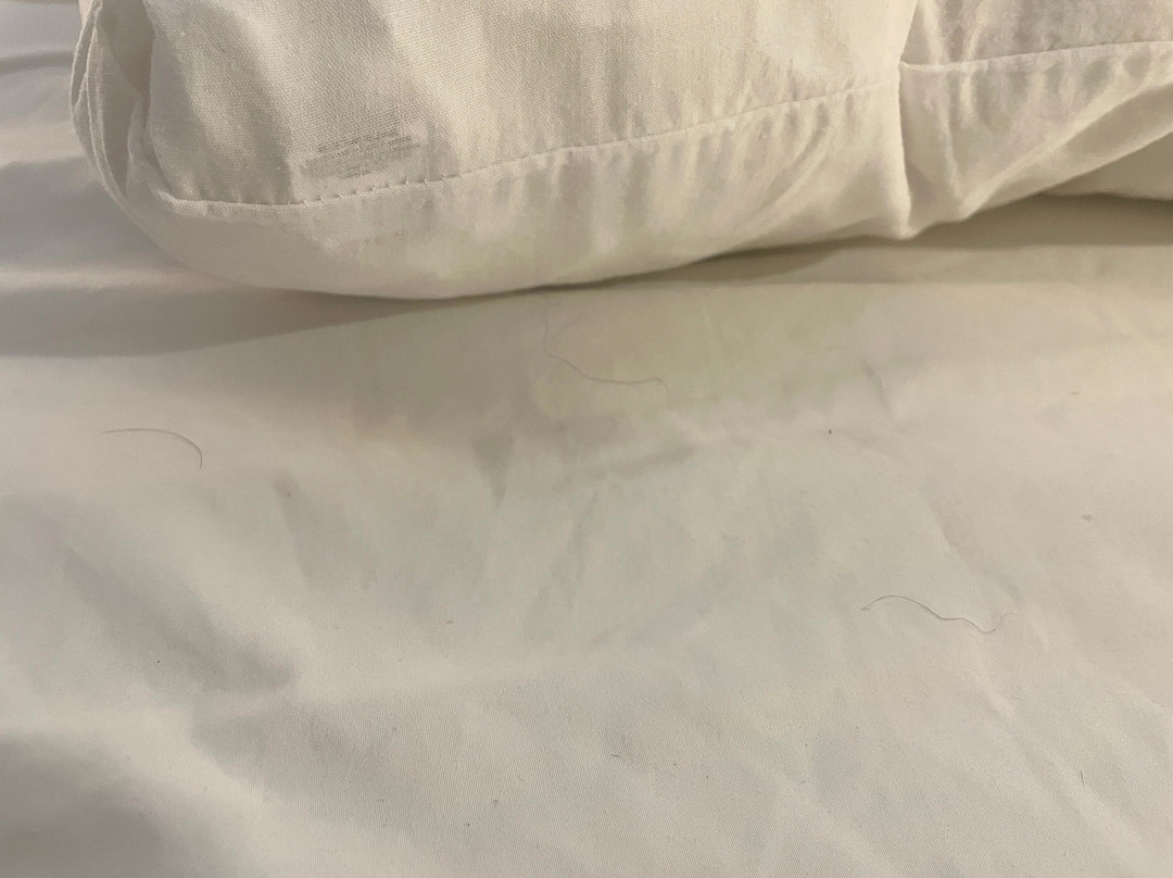 Red Roof Inn Binghamton North主图