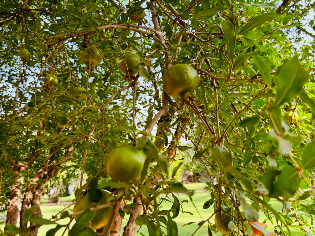 Eden Aquapark-马拉喀什必去景点