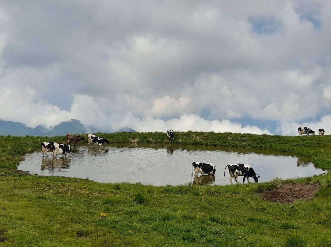 Parco Naturale Regionale della Lessinia景点图片
