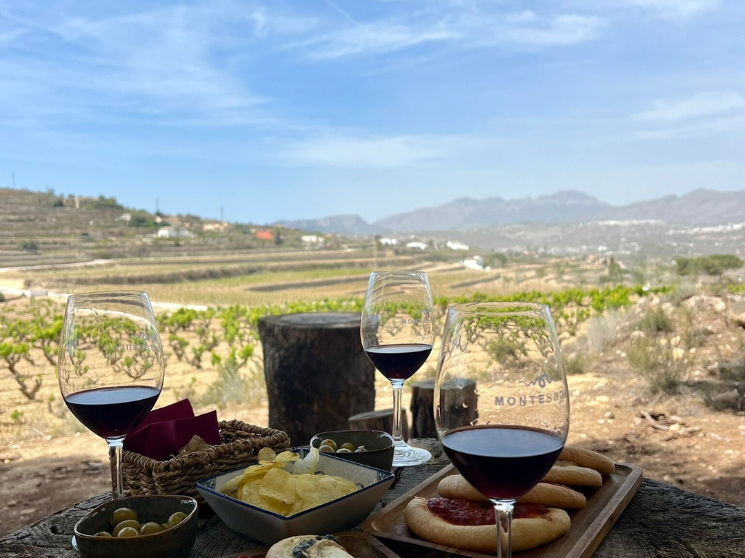 Bodega Montesanco Teulada景点图片