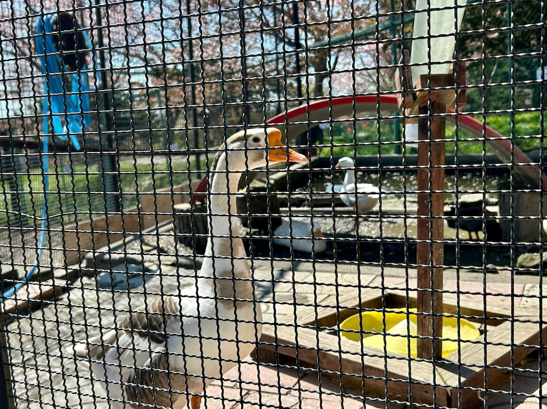 Nakayoshi Zoo-栗山町必去景点