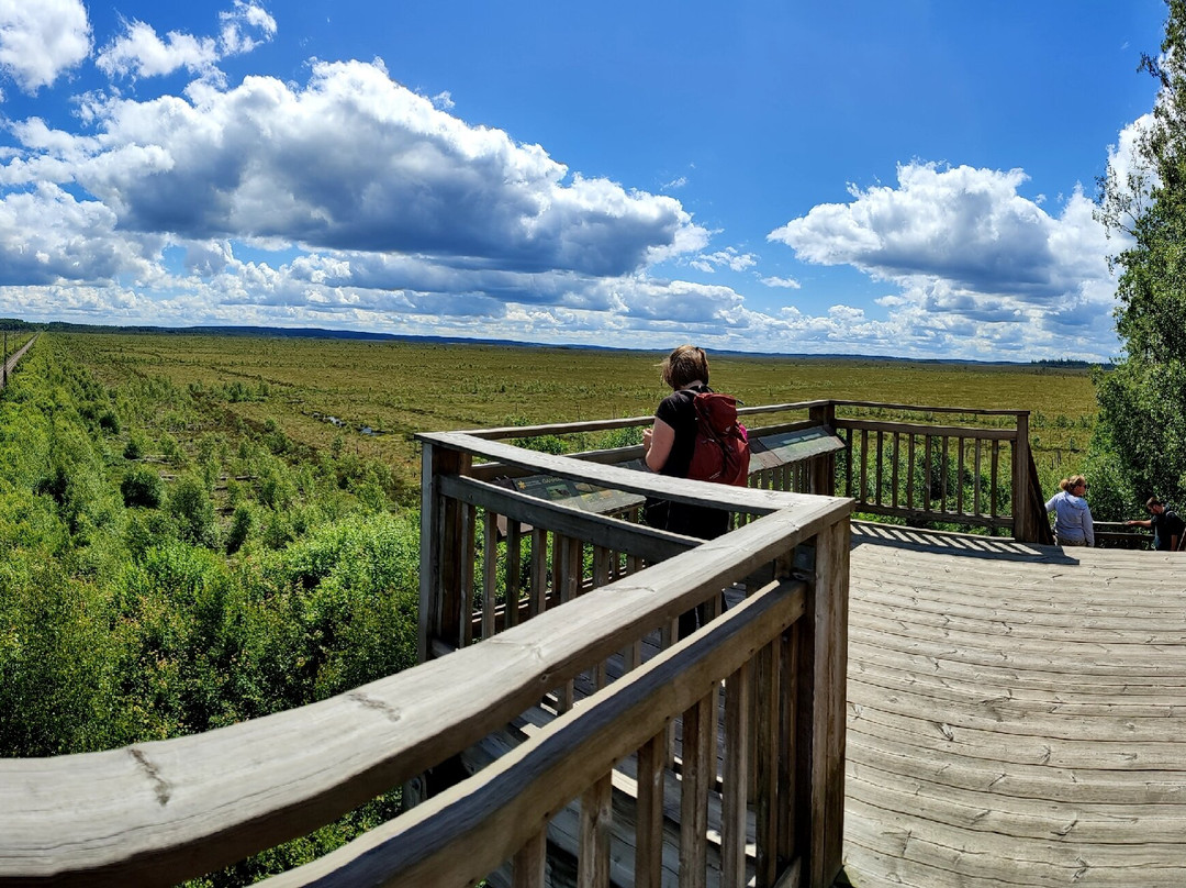 Store Mosse Nationalpark-Hillerstorp必去景点