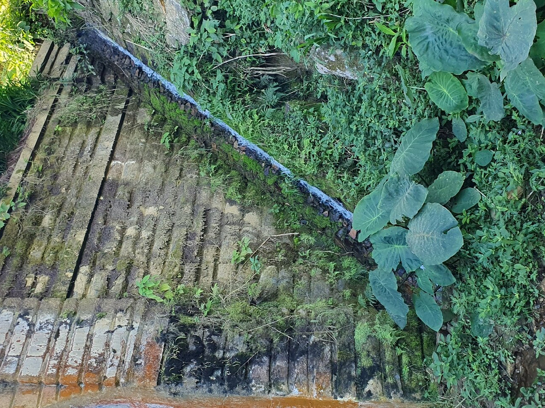Túnel da Mantiqueira景点图片