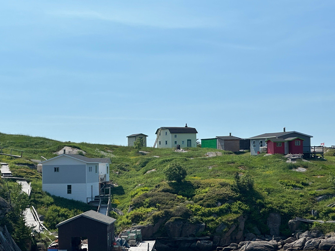 Hare Bay Adventures景点图片
