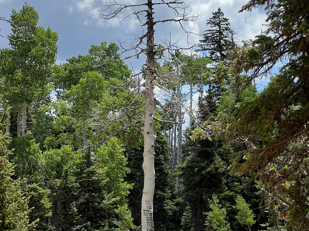 Duck Creek Adventures-Duck Creek Village必去景点