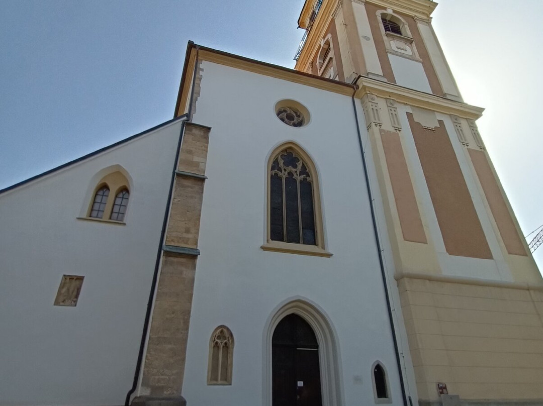 Maribor Cathedral (Church of St John the Baptist)-马里博尔必去景点