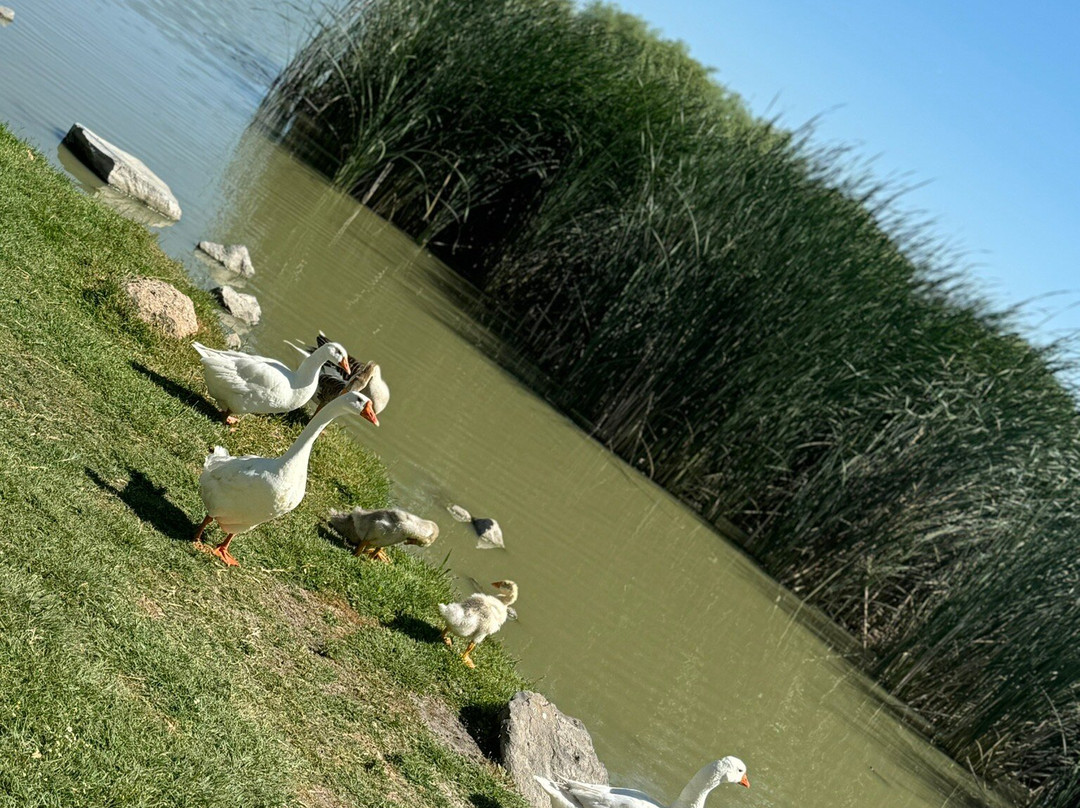 Golbasi Genclik Parki景点图片